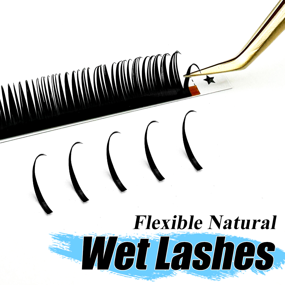 Abonnie Wet Eyelash Extensions - مراجعة Eyelash Extension Wet Look وسعره