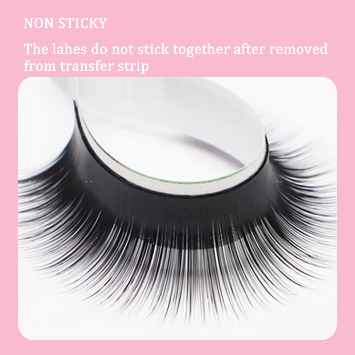 Camellia False Eyelashes LC LB - مراجعة Eyelash Extension Wet Look وسعره