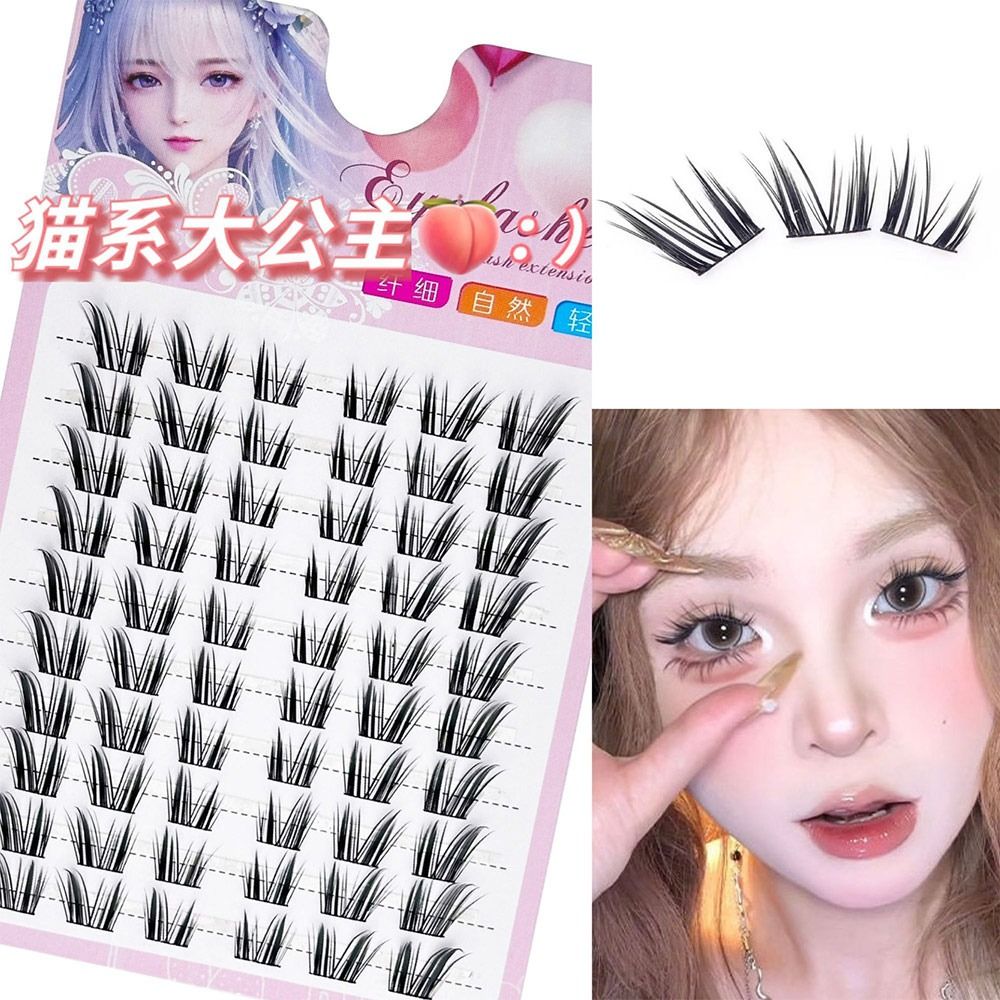 Reusable Cat Eye Fairy Lash Cl - مراجعة Eyelash Extension Wet Look وسعره