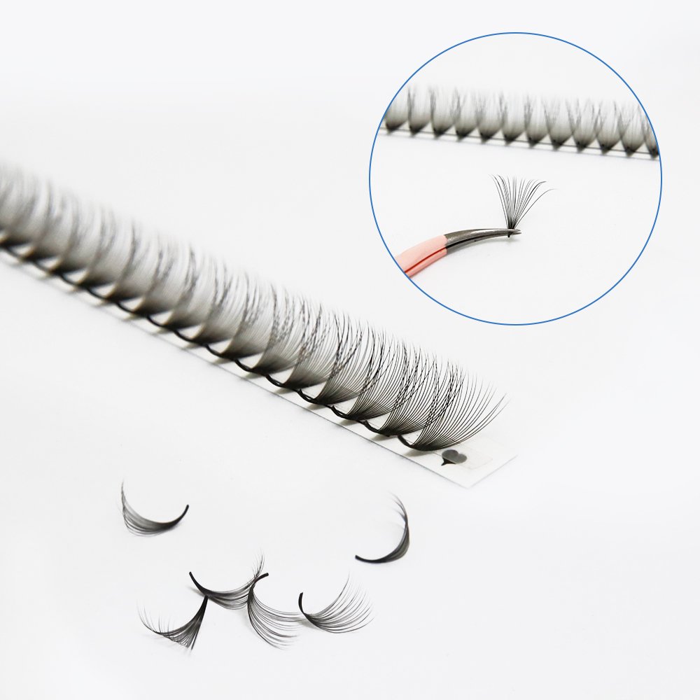 JB Jeyelabeau 6D 10D 20D 30D P - مراجعة Eyelash Extension Russian Volume وسعره