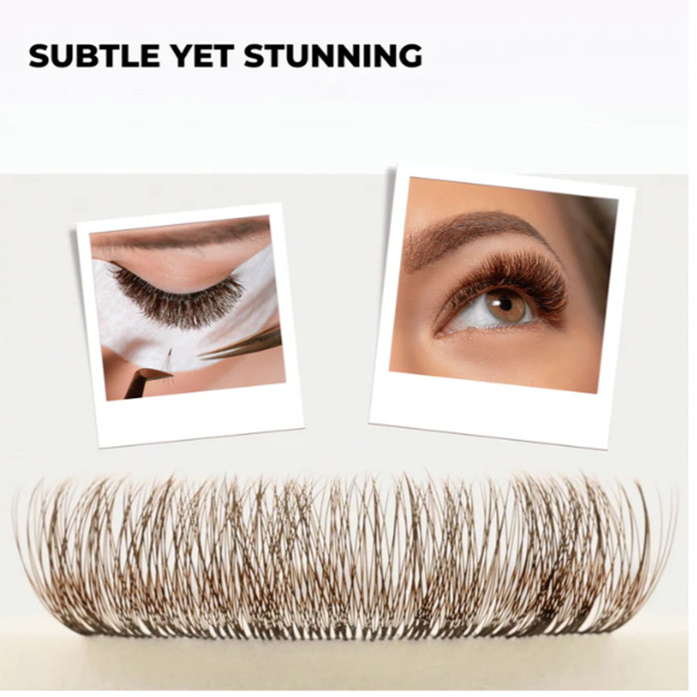 3D 6D 8D Brown Colored 1000 Fa - مراجعة Eyelash Extension Hybrid وسعره
