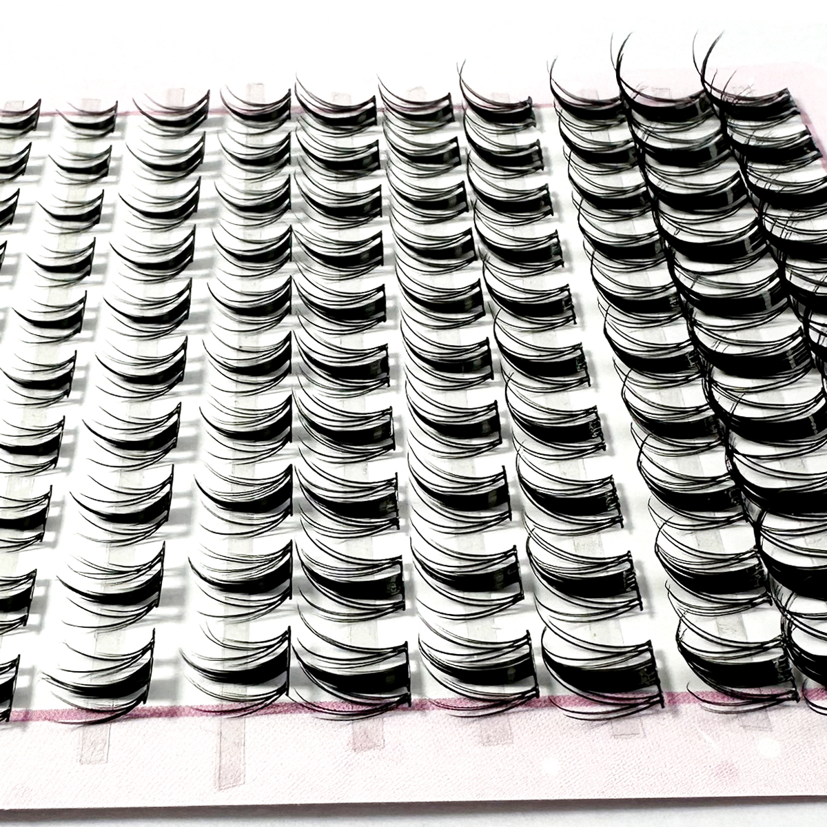 New 8-16mm Fairy Lash Clusters - مراجعة Eyelash Extension Wet Look وسعره