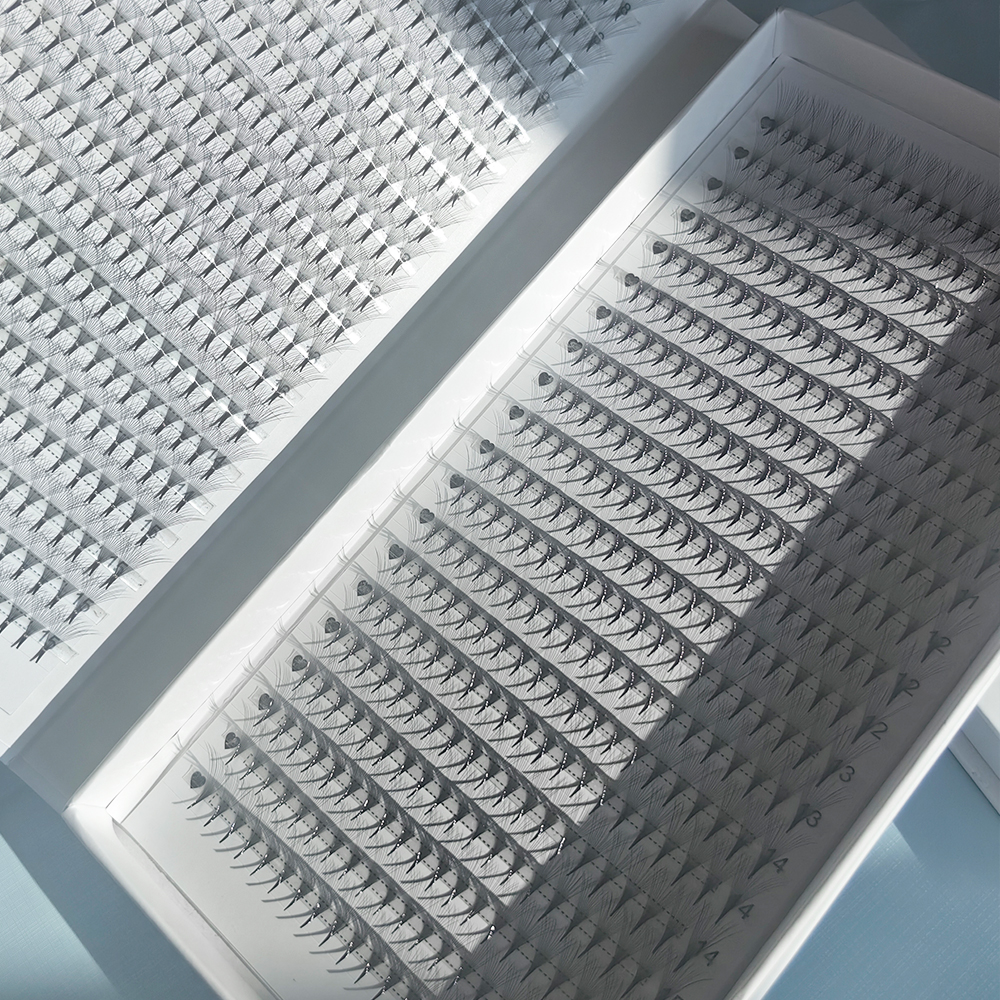 2D-16D 1600/880 Fans PBT Hybri - مراجعة Eyelash Extension Hybrid وسعره