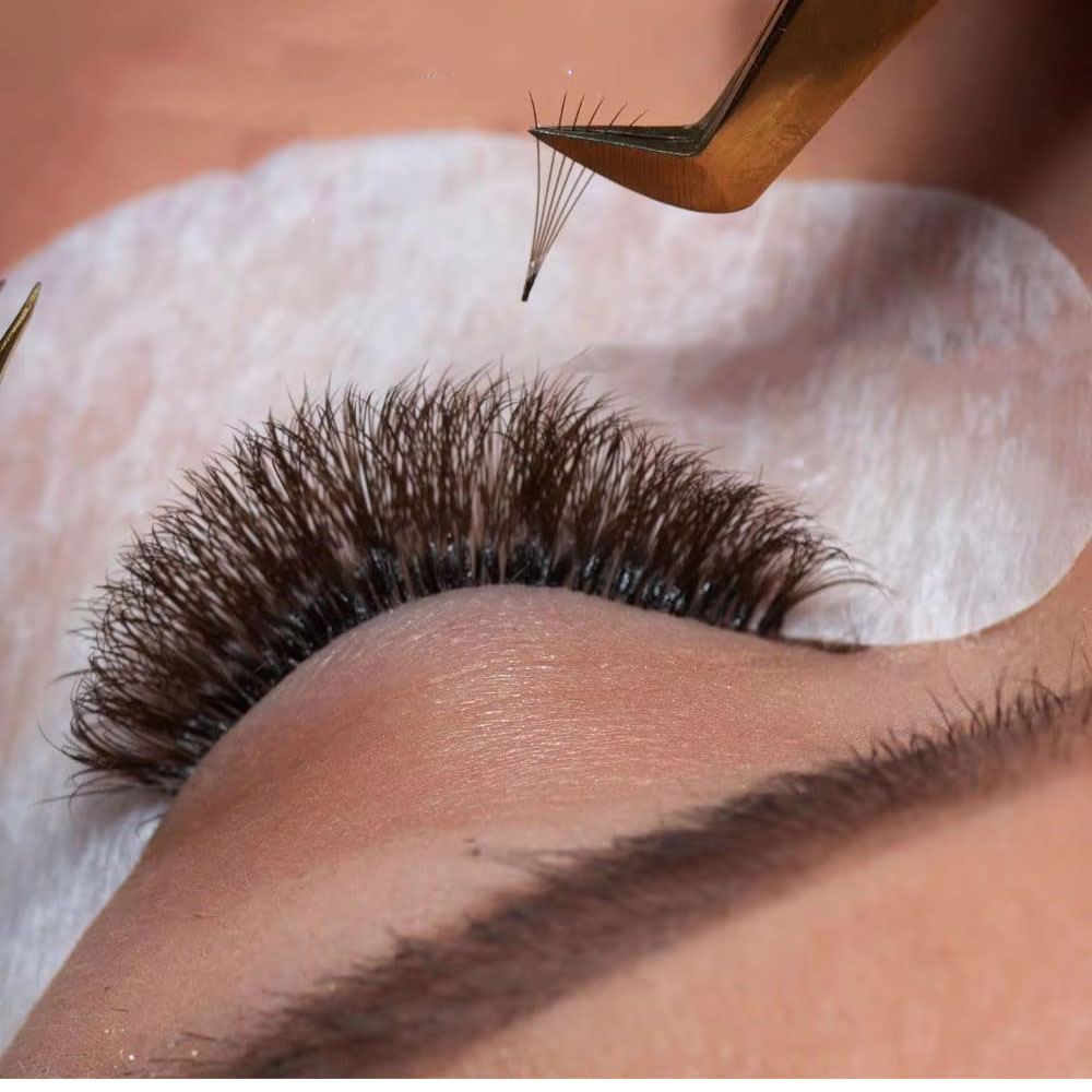 1200Fans 3D 8D 5D Brown Colore - مراجعة Eyelash Extension Hybrid وسعره